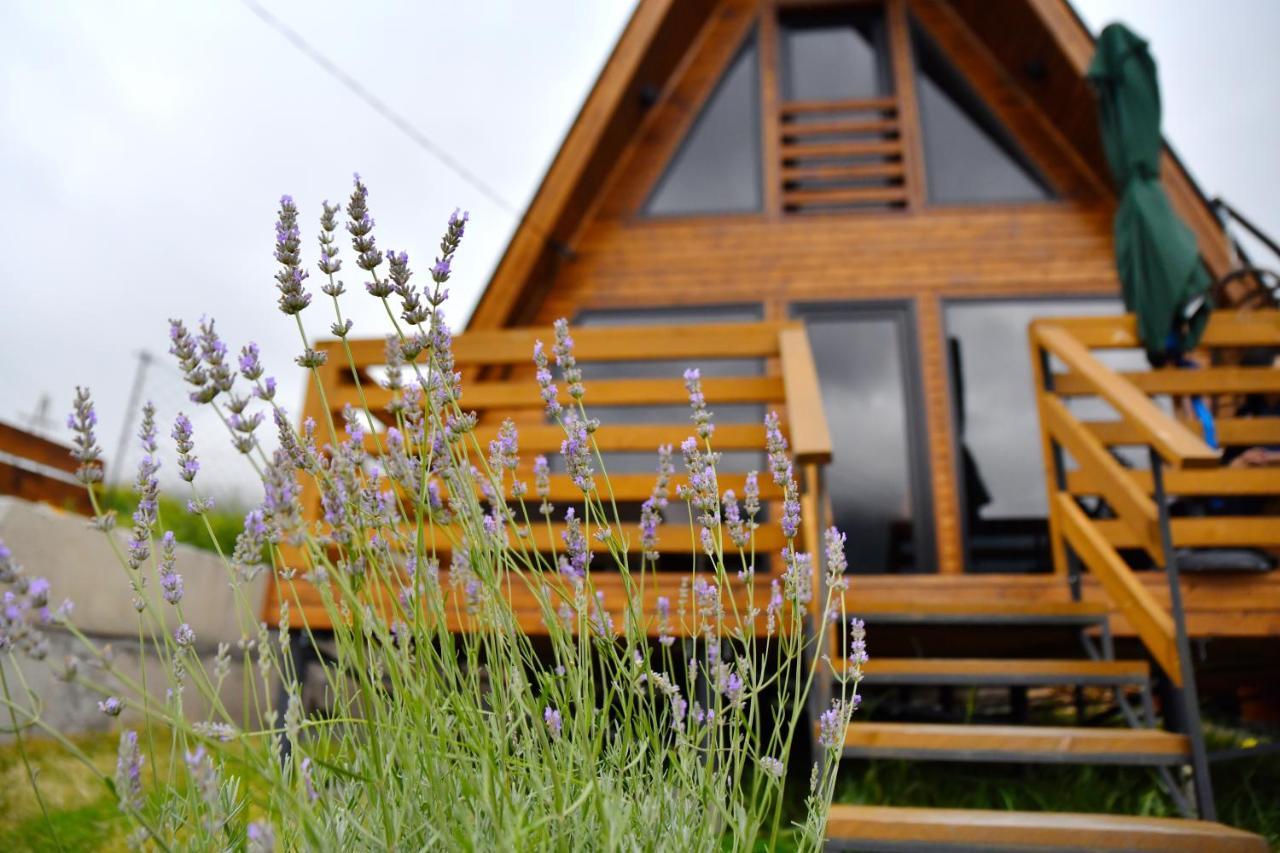 Kazbegi Spa Resort Cottages Stepantsminda Exterior foto